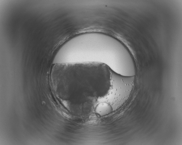 X0000068740153200604281025