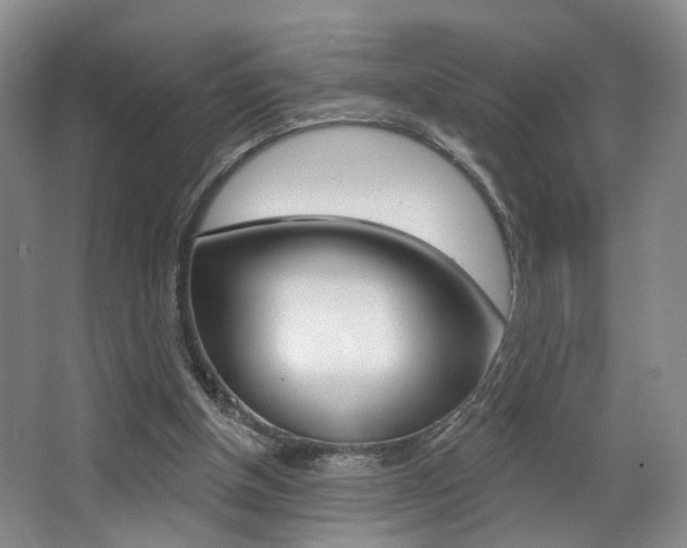 X0000068740154200604281025