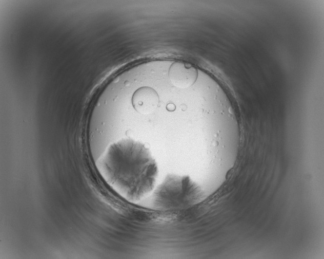 X0000068740155200604281025