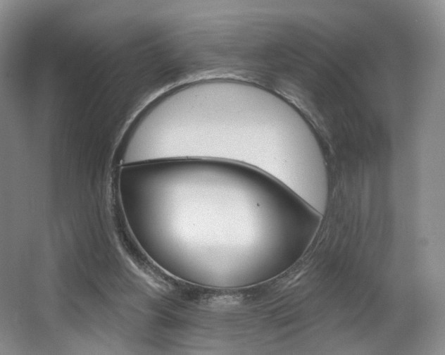 X0000068740156200604281025