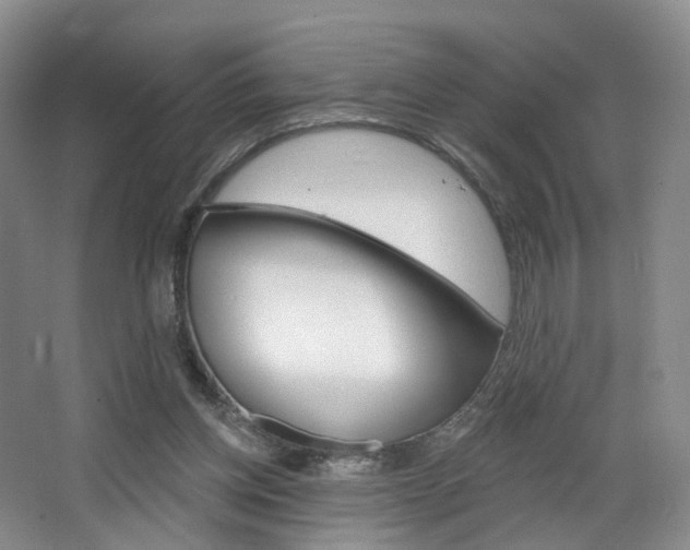 X0000068740158200604281025