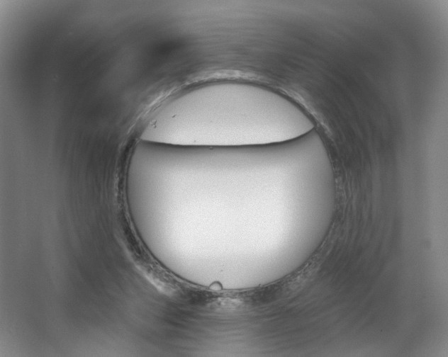 X0000068740159200604281025