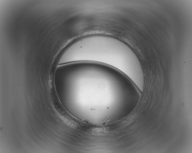 X0000068740160200604281025