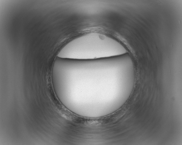 X0000068740161200604281025