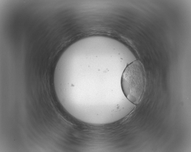 X0000068740162200604281025