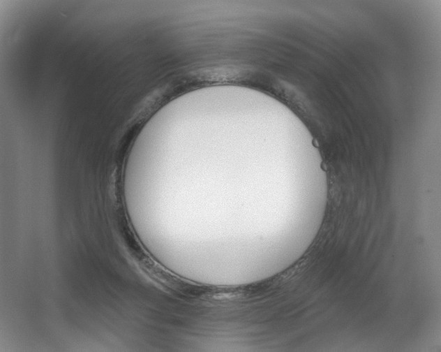 X0000068740163200604281025