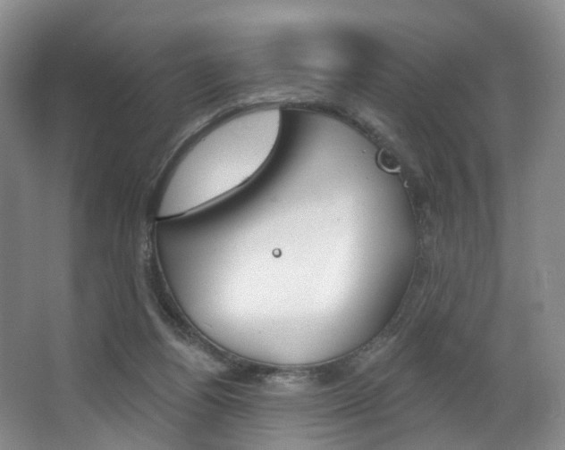 X0000068740164200604281025