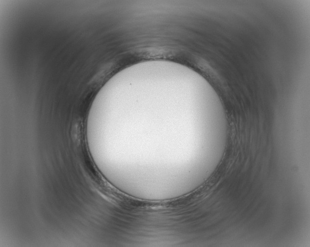 X0000068740165200604281025