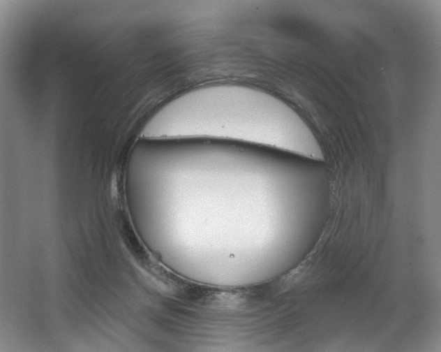 X0000068740166200604281025