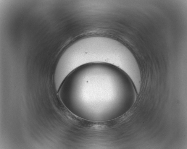 X0000068740168200604281025