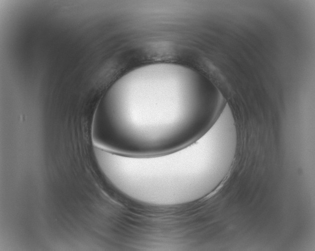 X0000068740170200604281025