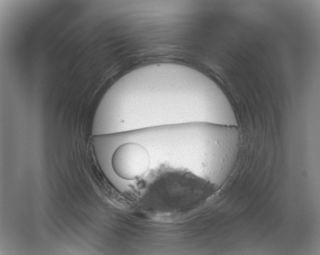 X0000068740171200604281025