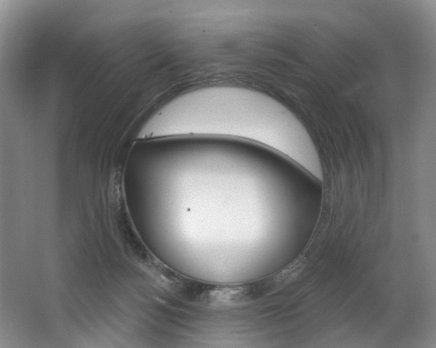 X0000068740172200604281025