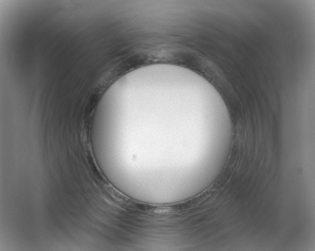 X0000068740173200604281025