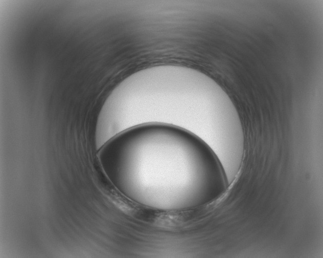 X0000068740174200604281025