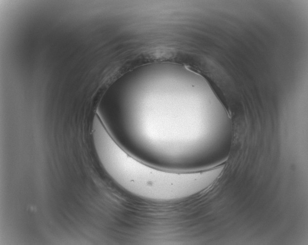 X0000068740176200604281025