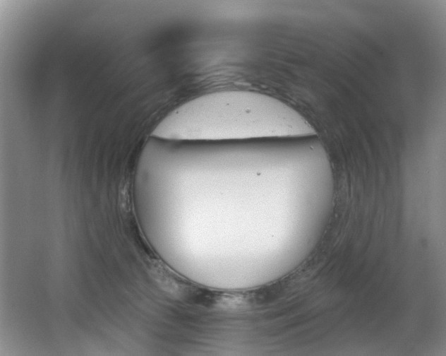 X0000068740177200604281025