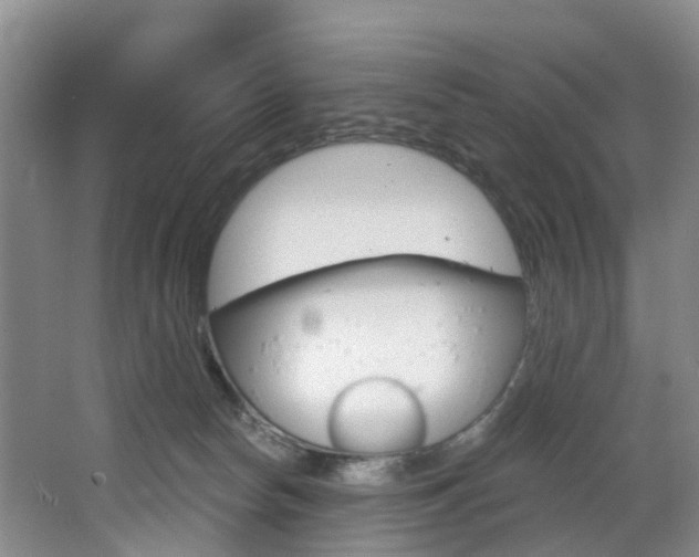 X0000068740178200604281025