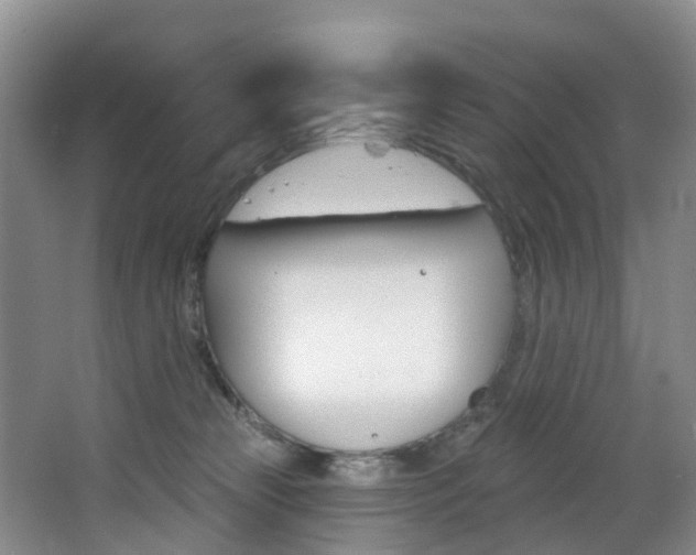 X0000068740181200604281025