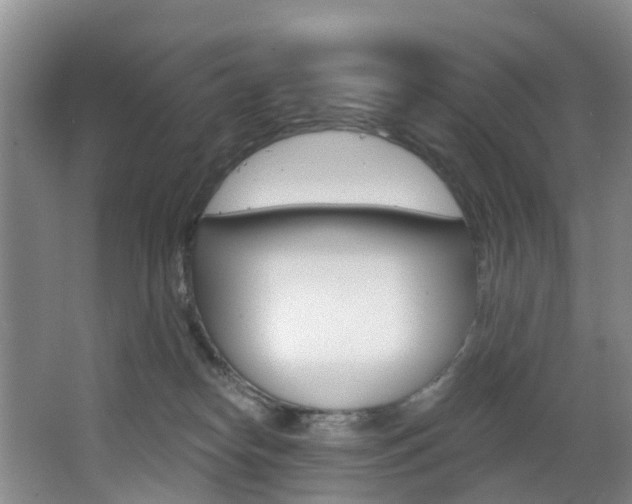 X0000068740182200604281025