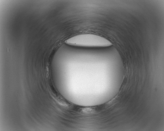 X0000068740183200604281025