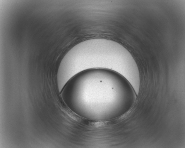 X0000068740184200604281025