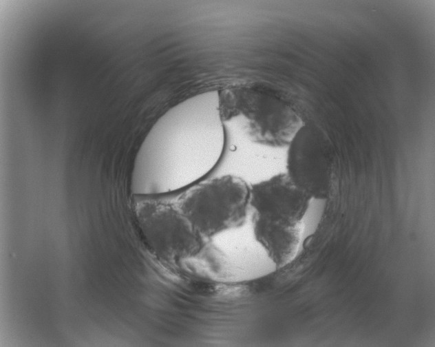 X0000068740185200604281025