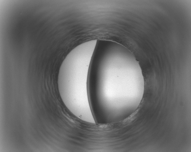 X0000068740186200604281026