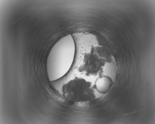 X0000068740187200604281026