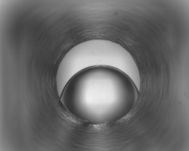 X0000068740188200604281026