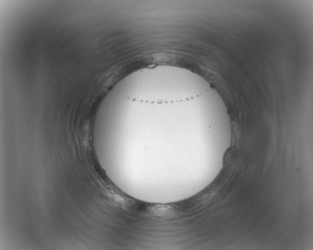 X0000068740189200604281026