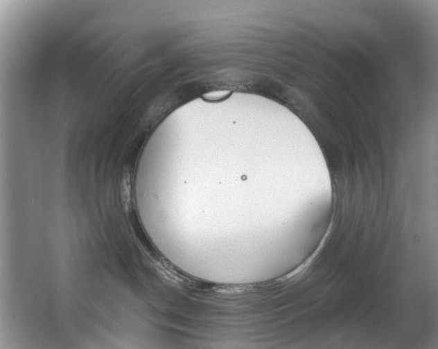 X0000068740190200604281026