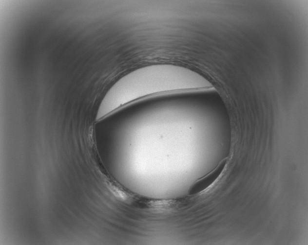 X0000068740192200604281026