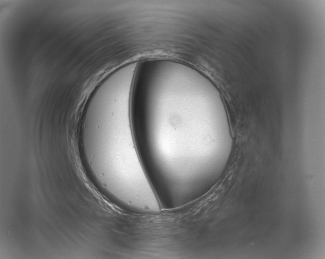 X0000068740193200604281025