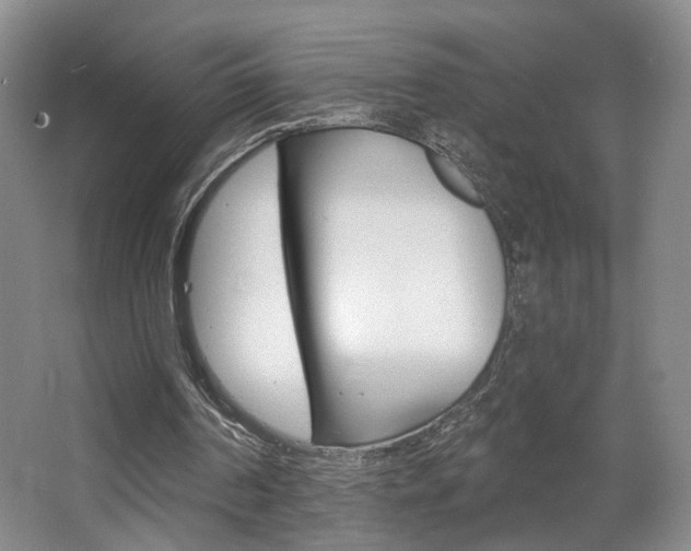 X0000068740194200604281025