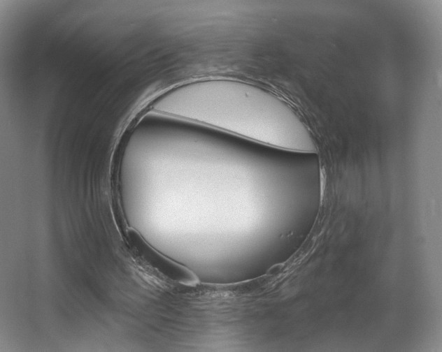 X0000068740195200604281025