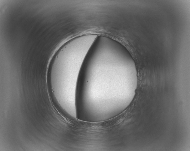 X0000068740196200604281025