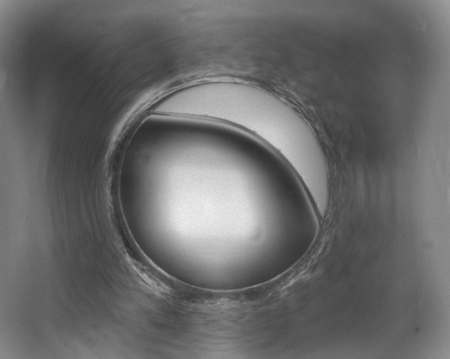 X0000068740197200604281025