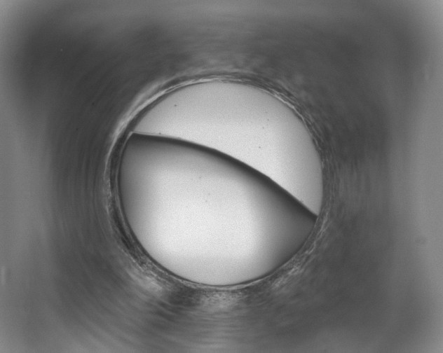 X0000068740198200604281025