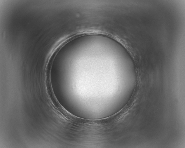 X0000068740199200604281025