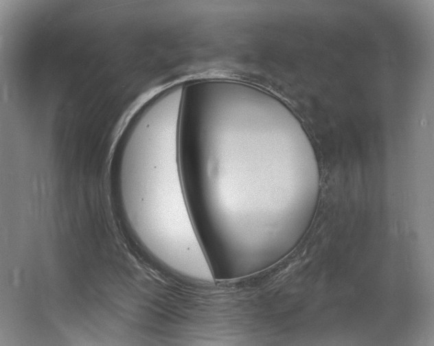 X0000068740200200604281025