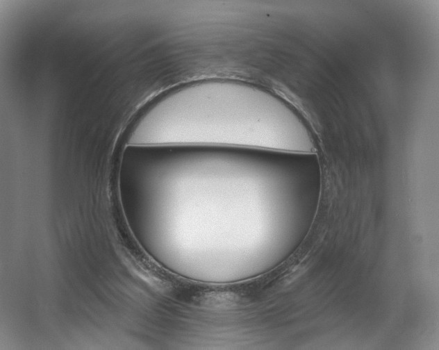 X0000068740203200604281025