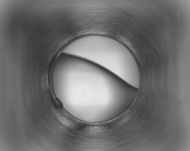 X0000068740205200604281025