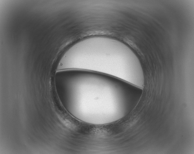 X0000068740207200604281025