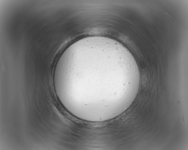 X0000068740208200604281025