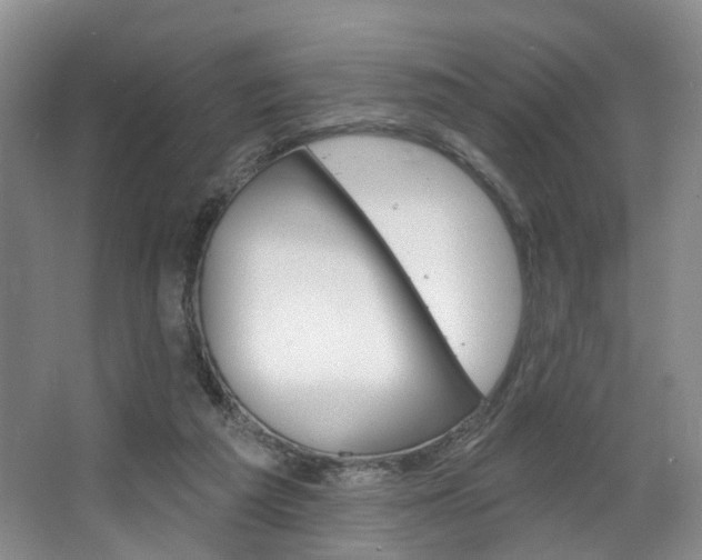 X0000068740209200604281025