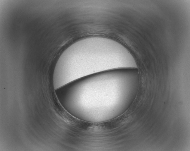 X0000068740211200604281024