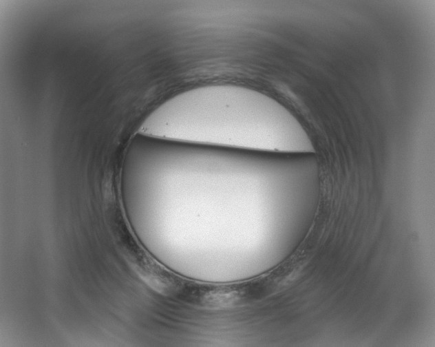 X0000068740213200604281024