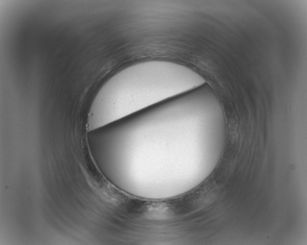 X0000068740214200604281024