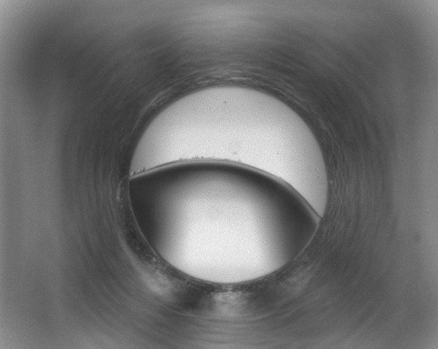 X0000068740216200604281024